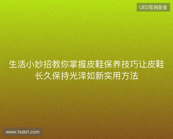 生活小妙招教你掌握皮鞋保养技巧让皮鞋长久保持光泽如新实用方法 生活小妙招教你掌握皮鞋保养技巧让皮鞋长久保持光泽如新实用方法